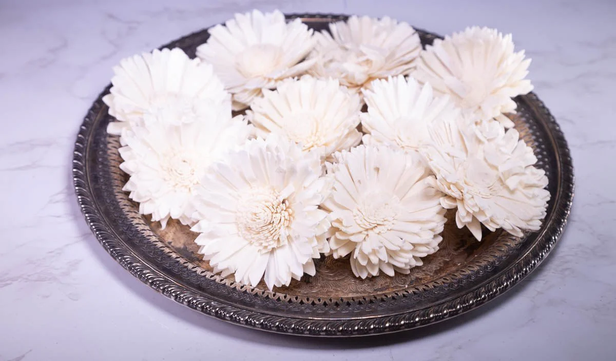 3" Oxeye Daisy (10 Pack) - Image 3
