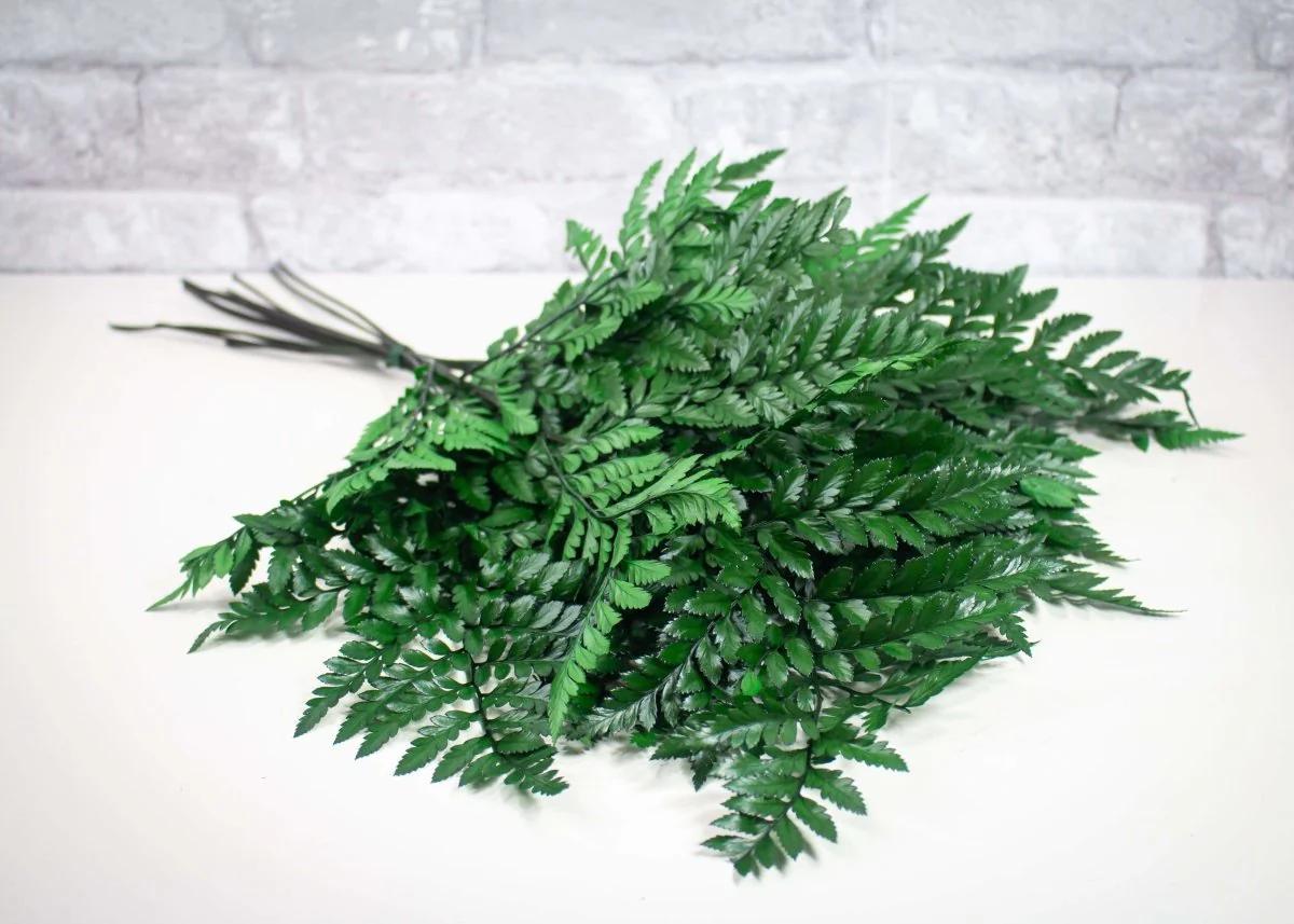 Greenery Sample Kit - Image 5